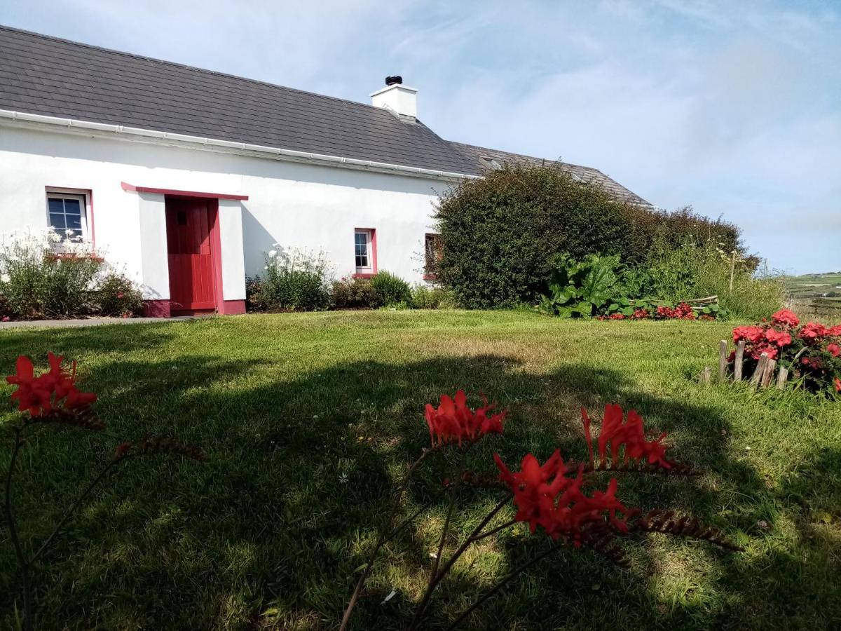 B&B The Red Door Cottage Donegal Town Exteriér fotografie
