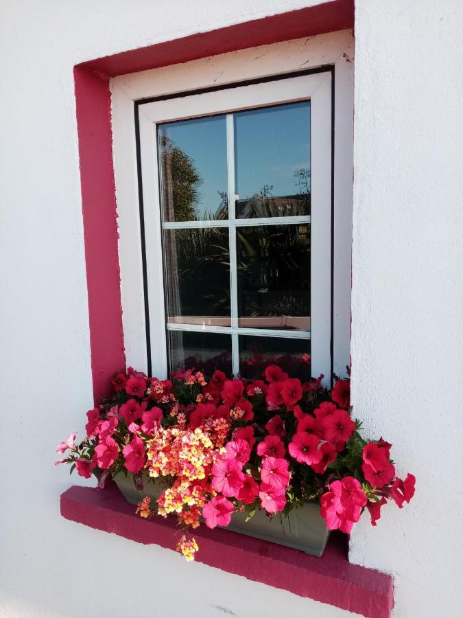 B&B The Red Door Cottage Donegal Town Exteriér fotografie